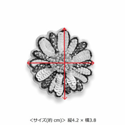  第7張的照片