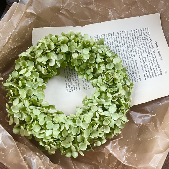 アナベル紫陽花　花畑リース 生花】紫陽花アナベルと青い小花のリース/はなどんやキット - 花