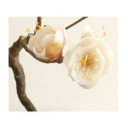 ✿【 SOLD＊OUT 】白梅の盆栽仕立て「雪解けの庭」日本画風鉢花 No.2 ／ 和洋室どちらにも◎ 6枚目の画像