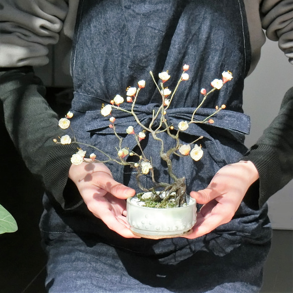 ✿【 SOLD＊OUT 】白梅の盆栽仕立て「雪解けの庭」日本画風鉢花 No.2 ／ 和洋室どちらにも◎ 10枚目の画像