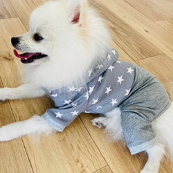 【型紙】犬服　サロペット 7枚目の画像