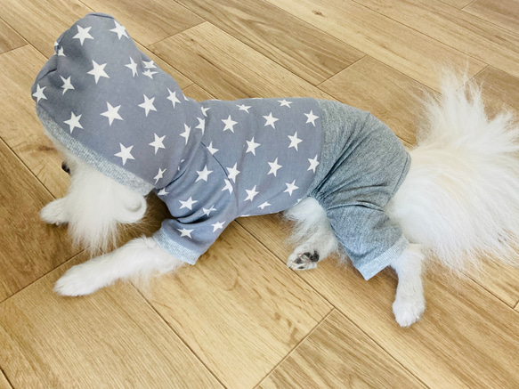 【型紙】犬服　サロペット 5枚目の画像
