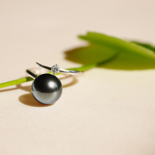 タヒチ黒蝶真珠 クールでビターなオープンリング【送料無料】冬の