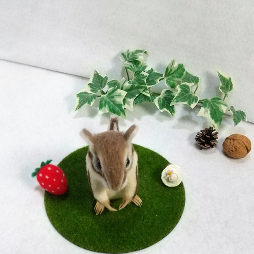 シマリス 羊毛フェルト 羊毛フェルト Sleeping forest 通販