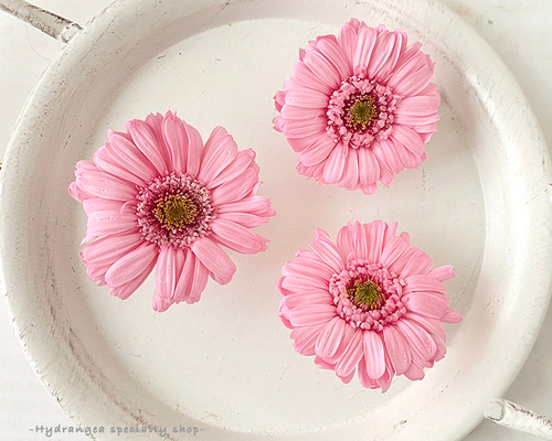 【専用】フラワーカービングなど 62b030db408f0e8646a1a63716031a