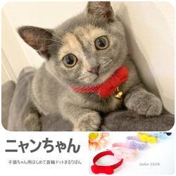 お客さまの愛猫ちゃんギャラリー 5枚目の画像