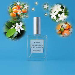 柑橘エチケット香水”朝霧　30ml”　基礎香水　嗅ぐ楽しみ＆自然消臭　 1枚目の画像