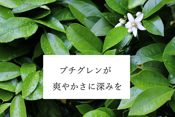 柑橘エチケット香水”朝霧　30ml”　基礎香水　嗅ぐ楽しみ＆自然消臭　 7枚目の画像