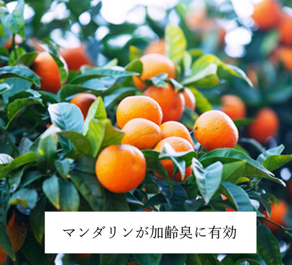 柑橘エチケット香水”朝霧　30ml”　基礎香水　嗅ぐ楽しみ＆自然消臭　 8枚目の画像