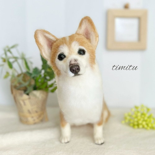 入荷中 コーギーちゃん親子✩︎羊毛フェルト ぬいぐるみ