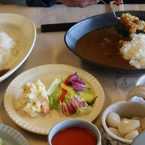最後のひと匙まですくえるカレー皿！「ルタン」 お椀・ボウル・鉢 晋六