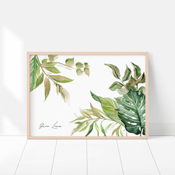 ポスター　夏の葉 / i0855 /  モンステラなどの涼しげなインテリアグリーン　観葉植物　インテリアポスター 6枚目の画像