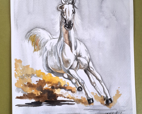 707aaa51e41c41339ab52a9fb903f7