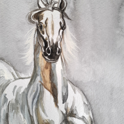 白馬と花の水彩画 a58223b4955d2d09b515420f2f286f