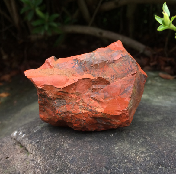 リアル佐渡赤玉石 新潟県赤玉地区産出 レッドジャスパー原石 デンドリティックあり 6枚目の画像