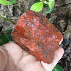 リアル佐渡赤玉石 新潟県赤玉地区産出 レッドジャスパー原石 デンドリティックあり 7枚目の画像