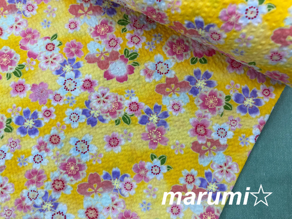 桜 まるっ ❀·°　0629 s-l400.jpg