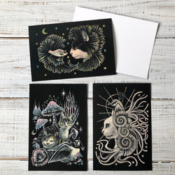 オリジナルポストカード３枚セット 「魔法の練習」「君がいた日々」「神」★ 猫 星月猫 アート 5枚目の画像