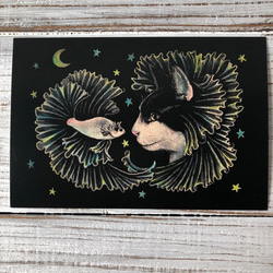 オリジナルポストカード３枚セット 「魔法の練習」「君がいた日々」「神」★ 猫 星月猫 アート 4枚目の画像