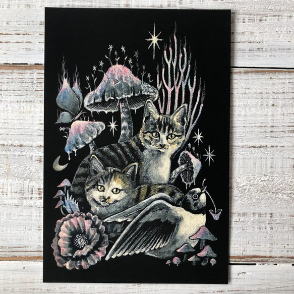 オリジナルポストカード３枚セット 「魔法の練習」「君がいた日々」「神」★ 猫 星月猫 アート 2枚目の画像