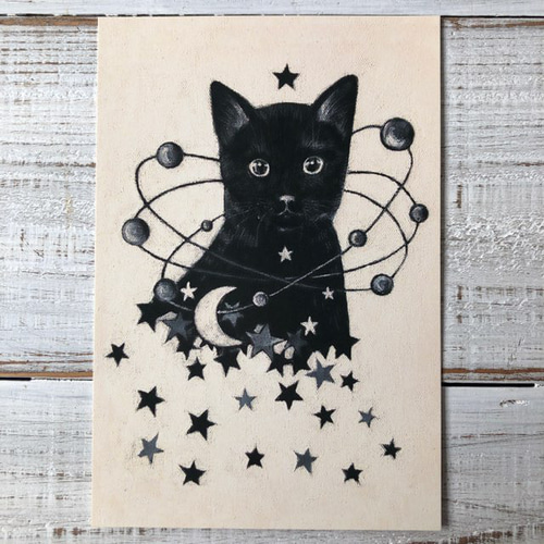 オリジナルポストカード3枚セット 「オウムガイ」「星月猫くろ