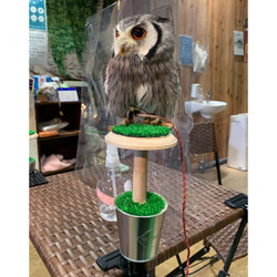 猛禽用ファルコンブロック 砦型 ハウス・小屋 アトリエぽっくる