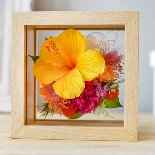1点もの】ハイビスカス・フレームS / イエロー プリザーブドフラワー