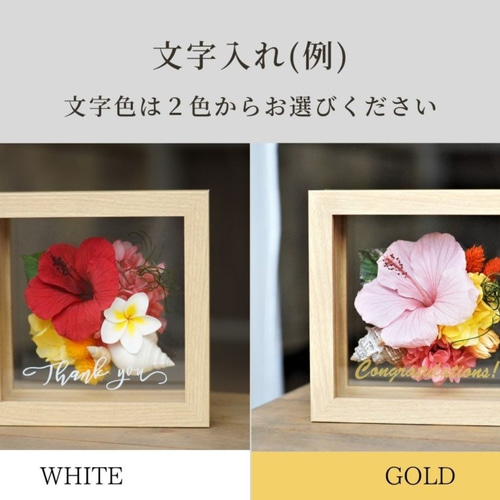 1点もの】ハイビスカス・フレームS / イエロー プリザーブドフラワー