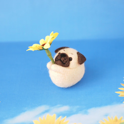 【受注製作】フレブル・パグとひまわり・羊毛フェルト・お花を差し替えて使えます＊＊フレンチブルドッグ・パグ 7枚目の画像