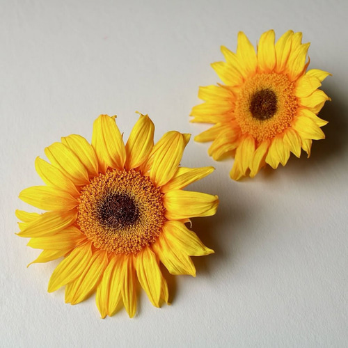 向日葵(ひまわり)の野花畑＊プリザーブドフラワー＊インテリア