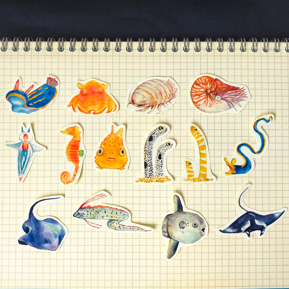 【28枚セット】不思議な海の生き物フレークシール 全14種類 3枚目の画像