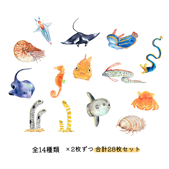 【28枚セット】不思議な海の生き物フレークシール 全14種類 2枚目の画像