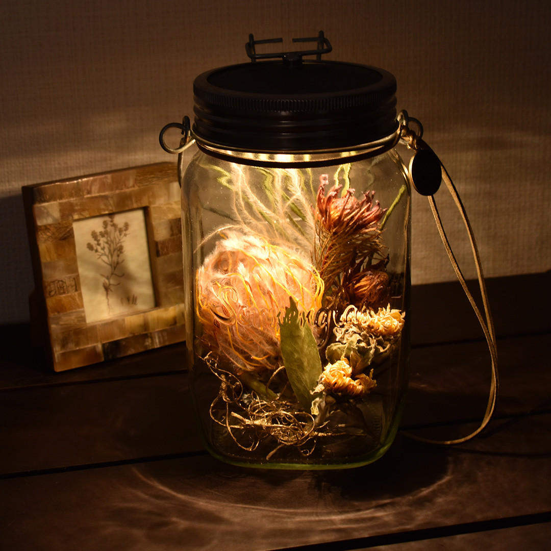 【ソーラーLEDライト付きボトルフラワー：ソネングラス】『NATIVE FLOWER』ピンクッション ベルド