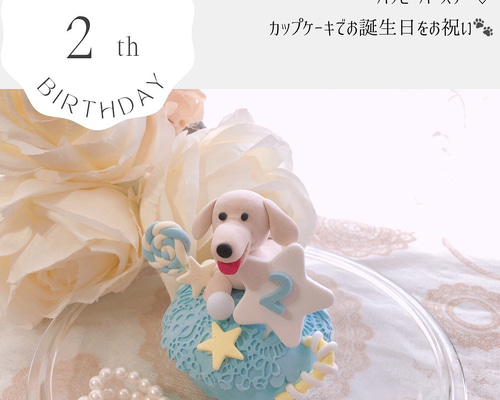 dfb5dee9b56ced1303a9eaca6a9023