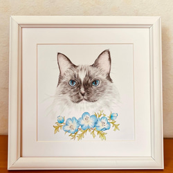 色鉛筆画　猫とネモフィラ　猫画　ペット画　動物画 2枚目の画像