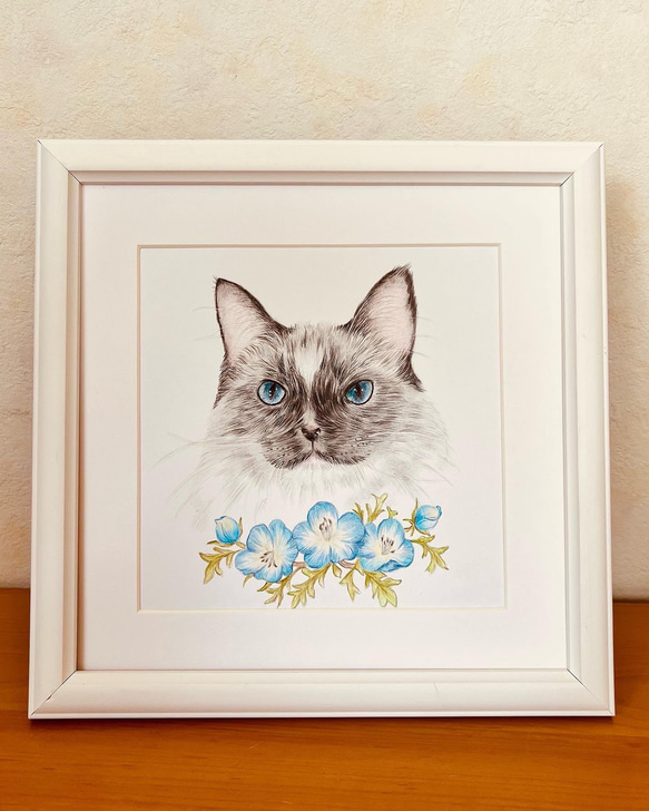 色鉛筆画　猫とネモフィラ　猫画　ペット画　動物画 2枚目の画像