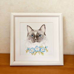 色鉛筆画　猫とネモフィラ　猫画　ペット画　動物画 1枚目の画像
