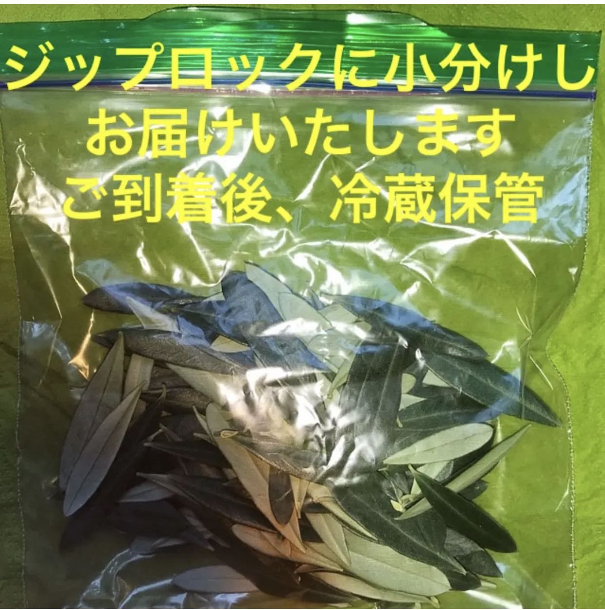 ウェディング80名様オリーブ葉1,600枚⭐️リーフシャワー