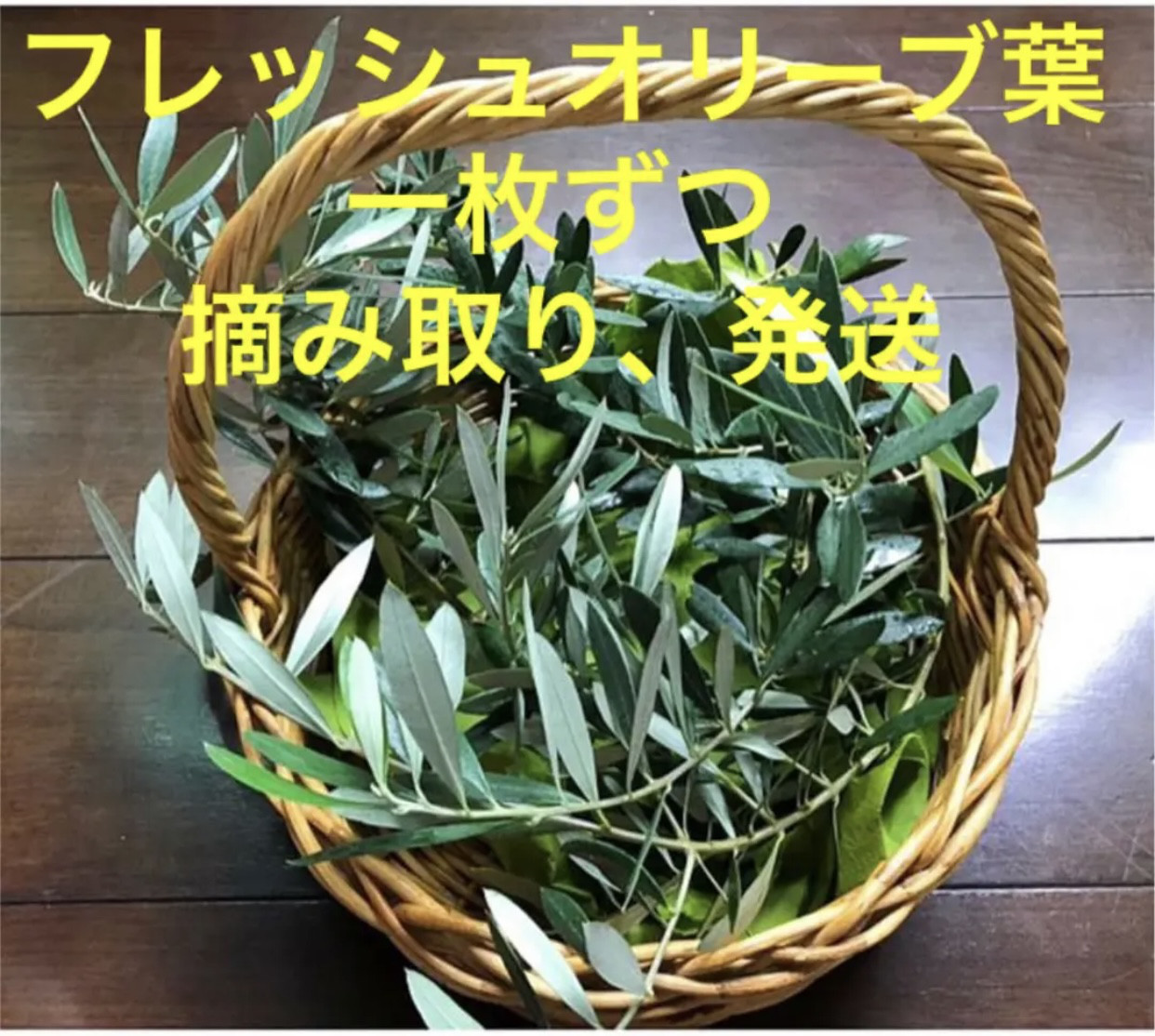 ウェディング80名様オリーブ葉1,600枚⭐️リーフシャワー