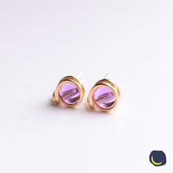 14kgf【フォシルコーラル・フォッシルコーラル・珊瑚】ポストピア7mm