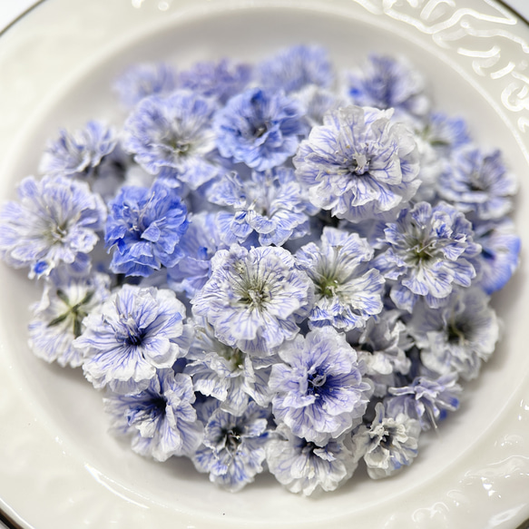 かすみ草　Aラベンダー　 ドライフラワー　染め　花材　DIY　ムラサキ　青味紫 2枚目の画像