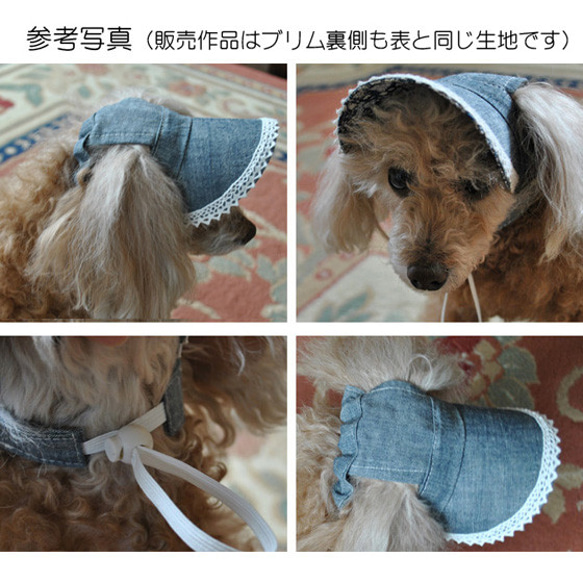 【M 4㎏前後の小型犬用】犬の帽子＊cottonピンクダンガリーレース（白ゴム） 3枚目の画像