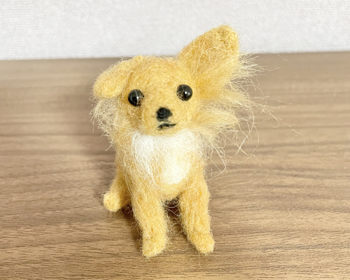羊毛フェルト　リラックスチワワ 羊毛フェルト リラックスチワワ