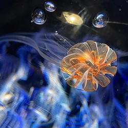 アカクラゲのガラスオブジェ☆りんご型のペーパーウェイト 1枚目の画像