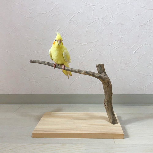 流木の止まり木】鳥 バードスタンド 小型から中型インコに！魔法の杖の