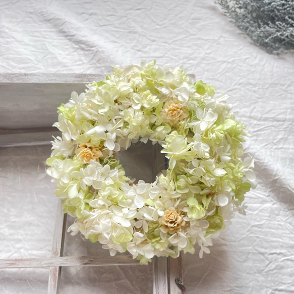 ☆カシワバアジサイのグリーンリース☆ プリザーブドフラワー petit