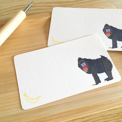 マンドリルのメッセージカード 10枚入 名刺サイズ プレゼント ギフト 動物 猿 申年 さるグッズ mandrill 2枚目の画像