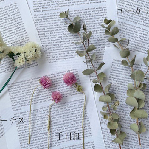 花材セット！撮影用 フラワーアソート 3種のドライフラワー 撮影背景に