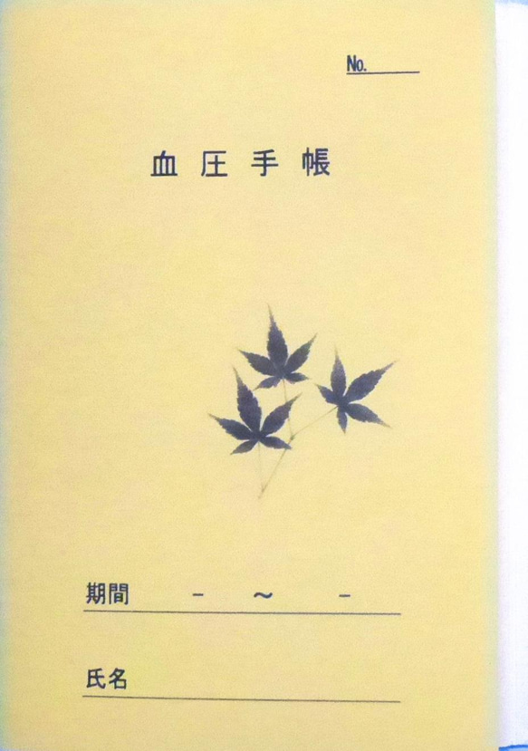  第3張的照片