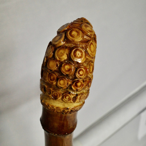 竹杖②_根頭ストレート 竹根鞭細工 漆塗り ねぶち 希少 国産 破竹根付